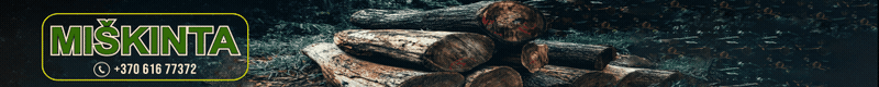 miskinta.lt